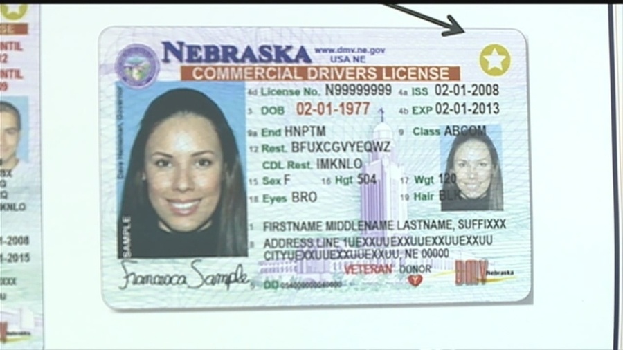Nebraska dmv license status